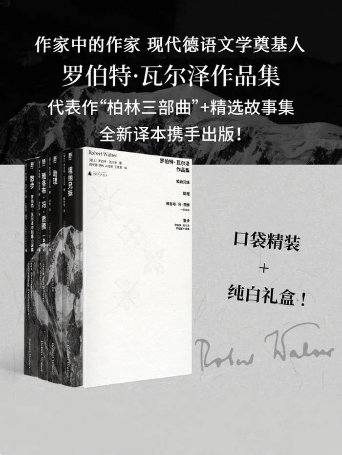 罗伯特·瓦尔泽作品集（套装共4册）